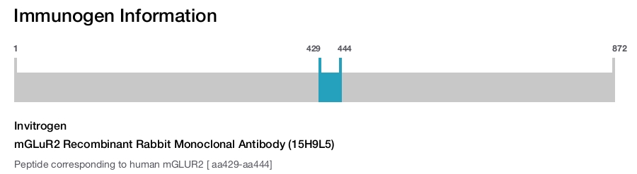 mGLuR2 Recombinant Rabbit Monoclonal Antibody (15H9L5)