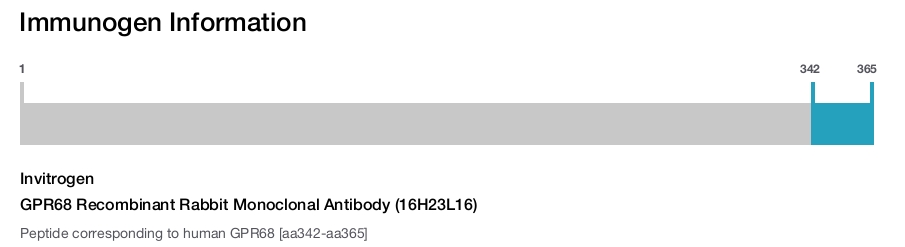 GPR68 Recombinant Rabbit Monoclonal Antibody (16H23L16)