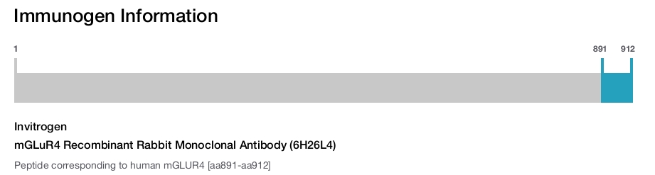 mGLuR4 Recombinant Rabbit Monoclonal Antibody (6H26L4)
