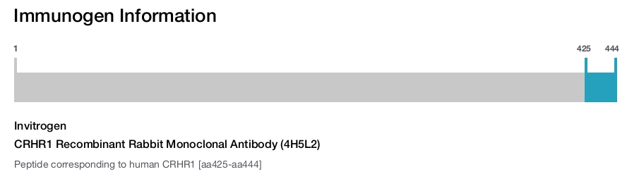CRHR1 Recombinant Rabbit Monoclonal Antibody (4H5L2)