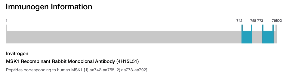 MSK1 Recombinant Rabbit Monoclonal Antibody (4H15L51)
