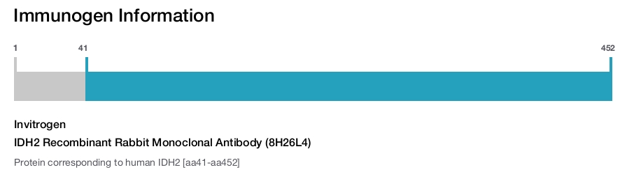 IDH2 Recombinant Rabbit Monoclonal Antibody (8H26L4)