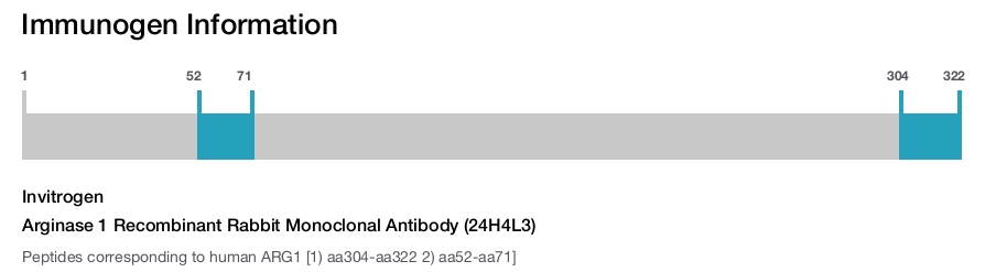 Arginase 1 Recombinant Rabbit Monoclonal Antibody (24H4L3)