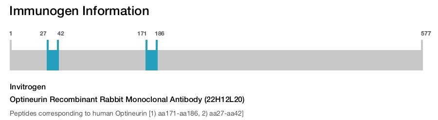 Optineurin Recombinant Rabbit Monoclonal Antibody (22H12L20)
