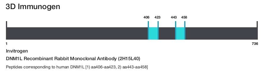 DNM1L Recombinant Rabbit Monoclonal Antibody (2H15L40)