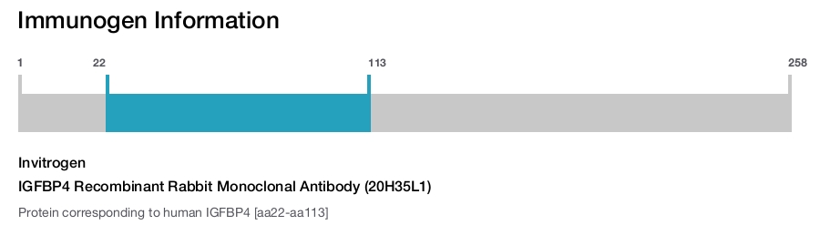 IGFBP4 Recombinant Rabbit Monoclonal Antibody (20H35L1)