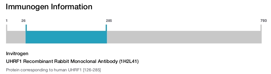 UHRF1 Recombinant Rabbit Monoclonal Antibody (1H2L41)