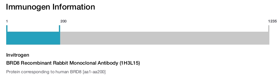 BRD8 Recombinant Rabbit Monoclonal Antibody (1H3L15)