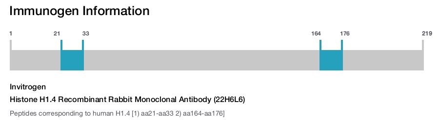 Histone H1.4 Recombinant Rabbit Monoclonal Antibody (22H6L6)