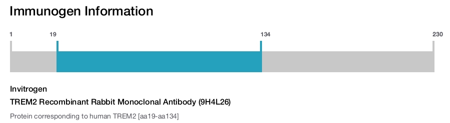 TREM2 Recombinant Rabbit Monoclonal Antibody (9H4L26)