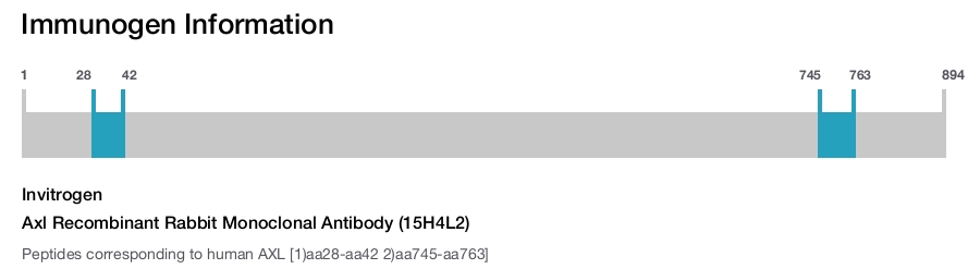 Axl Recombinant Rabbit Monoclonal Antibody (15H4L2)