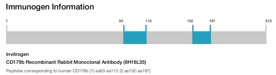 CD179b Recombinant Rabbit Monoclonal Antibody (8H16L35)