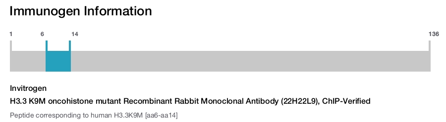 H3.3 K9M oncohistone mutant Recombinant Rabbit Monoclonal Antibody (22H22L9), ChIP-Verified