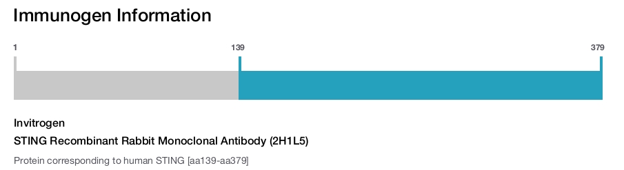 STING Recombinant Rabbit Monoclonal Antibody (2H1L5)