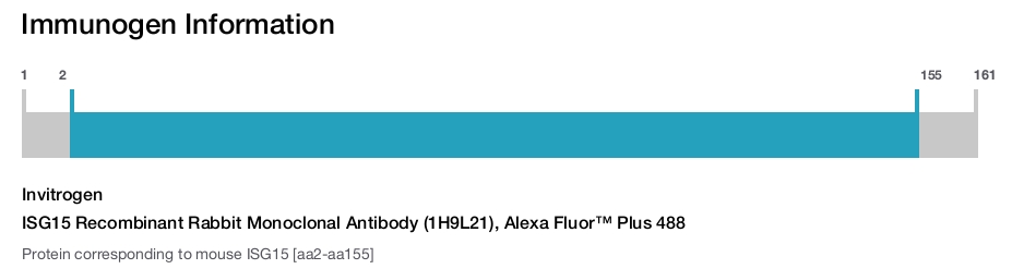 ISG15 Recombinant Rabbit Monoclonal Antibody (1H9L21), Alexa Fluor™ Plus 488
