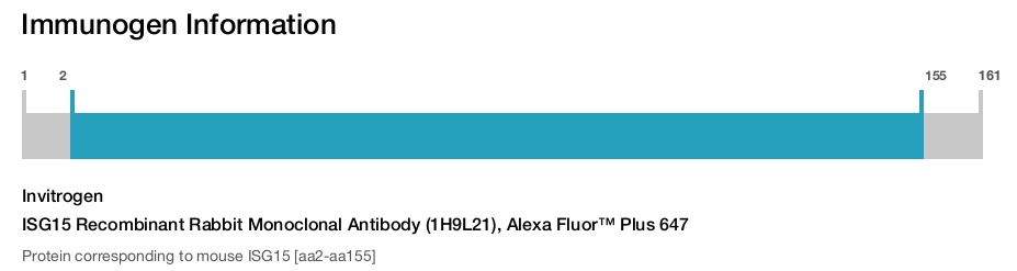 ISG15 Recombinant Rabbit Monoclonal Antibody (1H9L21), Alexa Fluor™ Plus 647