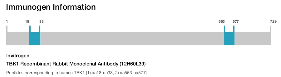TBK1 Recombinant Rabbit Monoclonal Antibody (12H60L39)