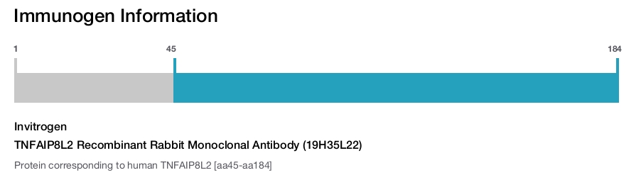 TNFAIP8L2 Recombinant Rabbit Monoclonal Antibody (19H35L22)