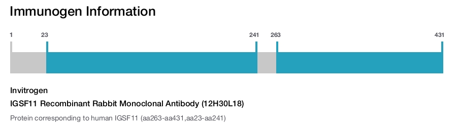 IGSF11 Recombinant Rabbit Monoclonal Antibody (12H30L18)