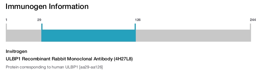 ULBP1 Recombinant Rabbit Monoclonal Antibody (4H27L8)