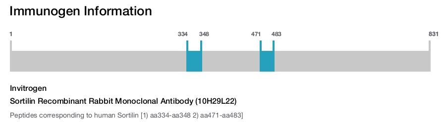 Sortilin Recombinant Rabbit Monoclonal Antibody (10H29L22)