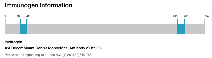 Axl Recombinant Rabbit Monoclonal Antibody (2H29L9)