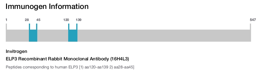 ELP3 Recombinant Rabbit Monoclonal Antibody (16H4L3)