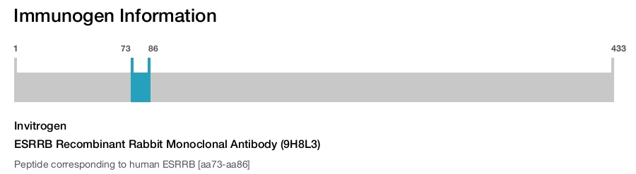 ESRRB Recombinant Rabbit Monoclonal Antibody (9H8L3)