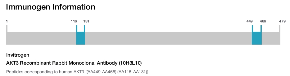 AKT3 Recombinant Rabbit Monoclonal Antibody (10H3L10)
