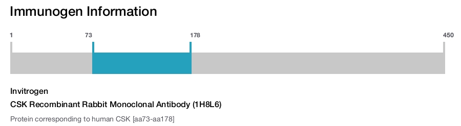 CSK Recombinant Rabbit Monoclonal Antibody (1H8L6)