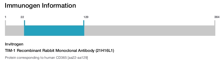 TIM-1 Recombinant Rabbit Monoclonal Antibody (21H16L1)