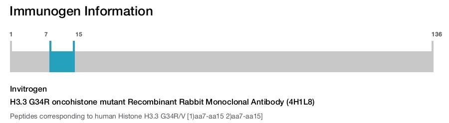 H3.3 G34R oncohistone mutant Recombinant Rabbit Monoclonal Antibody (4H1L8)