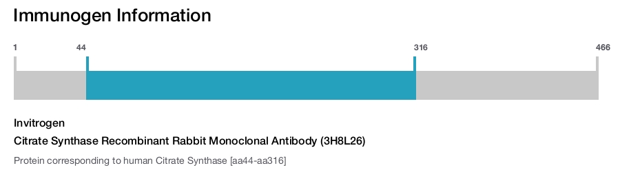Citrate Synthase Recombinant Rabbit Monoclonal Antibody (3H8L26)