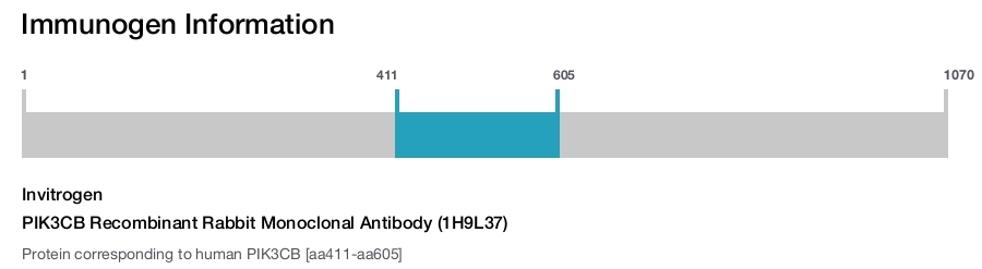 PIK3CB Recombinant Rabbit Monoclonal Antibody (1H9L37)