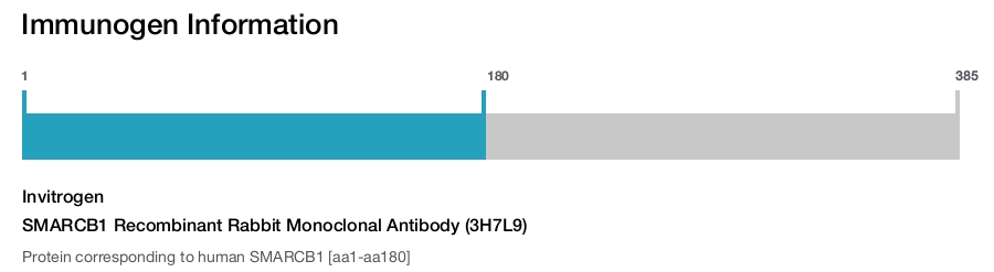 SMARCB1 Recombinant Rabbit Monoclonal Antibody (3H7L9)