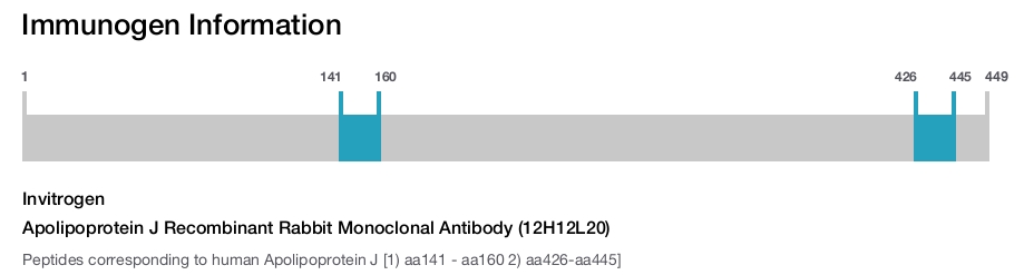 Apolipoprotein J Recombinant Rabbit Monoclonal Antibody (12H12L20)