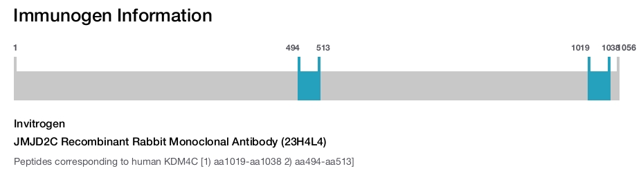 JMJD2C Recombinant Rabbit Monoclonal Antibody (23H4L4)