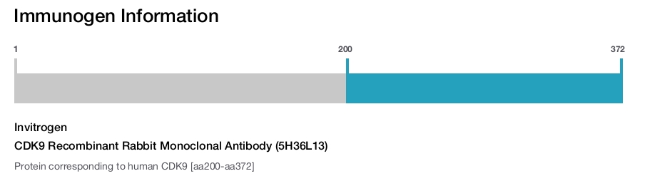 CDK9 Recombinant Rabbit Monoclonal Antibody (5H36L13)