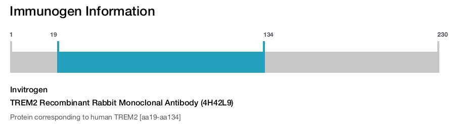 TREM2 Recombinant Rabbit Monoclonal Antibody (4H42L9)