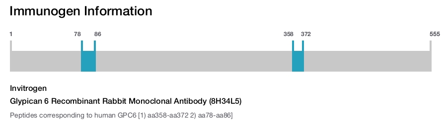 Glypican 6 Recombinant Rabbit Monoclonal Antibody (8H34L5)