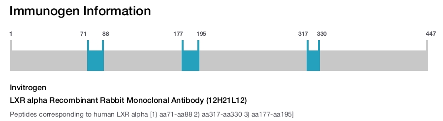 LXR alpha Recombinant Rabbit Monoclonal Antibody (12H21L12)