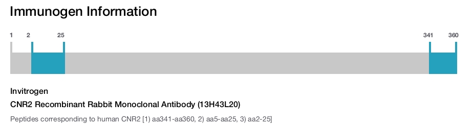 CNR2 Recombinant Rabbit Monoclonal Antibody (13H43L20)