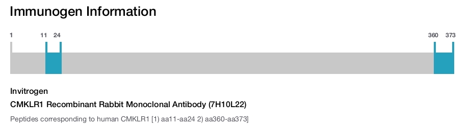 CMKLR1 Recombinant Rabbit Monoclonal Antibody (7H10L22)