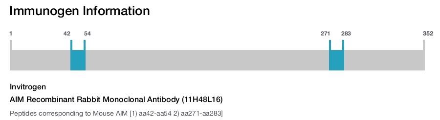 AIM Recombinant Rabbit Monoclonal Antibody (11H48L16)