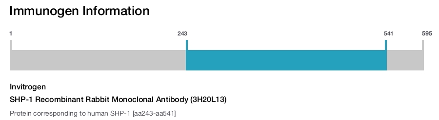 SHP-1 Recombinant Rabbit Monoclonal Antibody (3H20L13)