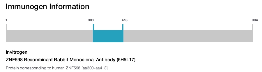 ZNF598 Recombinant Rabbit Monoclonal Antibody (5H5L17)