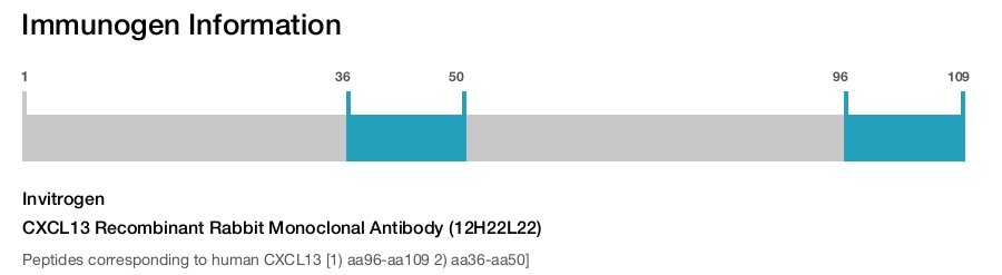 CXCL13 Recombinant Rabbit Monoclonal Antibody (12H22L22)