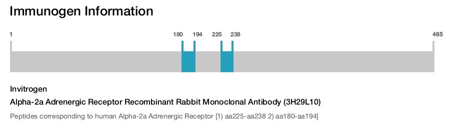 Alpha-2a Adrenergic Receptor Recombinant Rabbit Monoclonal Antibody (3H29L10)