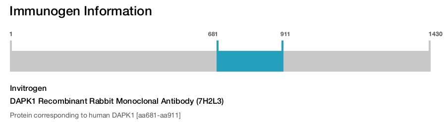 DAPK1 Recombinant Rabbit Monoclonal Antibody (7H2L3)