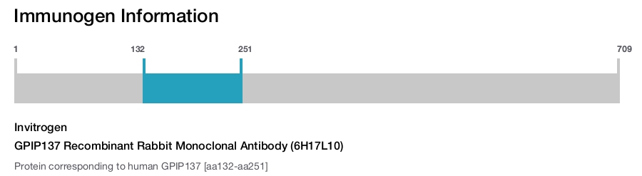 GPIP137 Recombinant Rabbit Monoclonal Antibody (6H17L10)